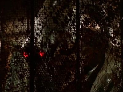 Hey, hey! - Farscape