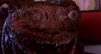Hey hold your horses turkey - TerrorVision