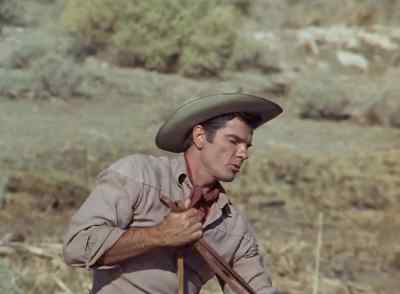 Hey, horse,
you ain't no camel. - Winchester '73