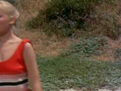 Hey, hotshot, check this one. - Gidget