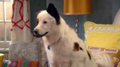 Hey, how'd it go
with Heather? - Dog with a Blog