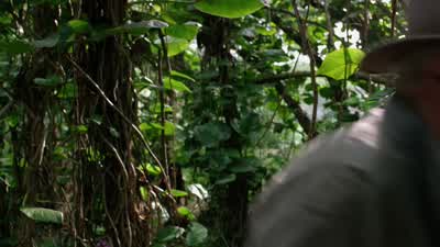 Hey, how's it going? - Journey 2: The Mysterious Island