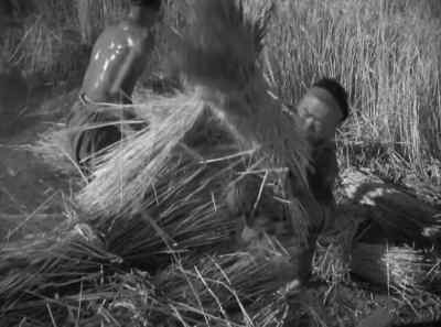 Hey hurry with the wheat! - The Good Earth