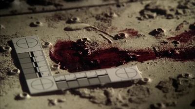 Hey,I found i s, - CSI: Crime Scene Investigation