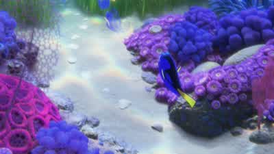 - Hey, I live there. - Finding Dory