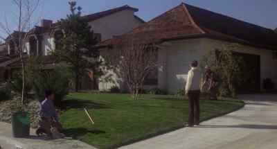 Hey, Igo, could you do something
about that tree? - Fun with Dick and Jane