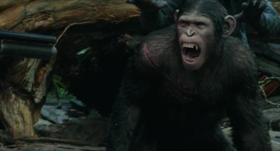 - Hey! I'll kill you!
- Carver, what're you doing? - Dawn of the Planet of the Apes