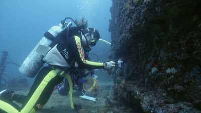 Hey, I'm going to head around the reef.
Check the backside. - 5 Headed Shark Attack