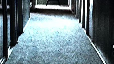 Hey, Jim. - CSI: Crime Scene Investigation