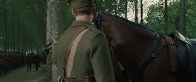 Hey, Joey. - War Horse
