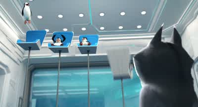 Hey Just tell me everything you knowAll right Numero unoNever trust a Dutchman in a tulip fight Tulip fightCanada is secretly training an army of SasquatchHot dogs are in fact only 17 percent actual dogNot everything everything Justeverything regarding - Penguins of Madagascar