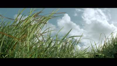 Hey, Keck! - The Thin Red Line