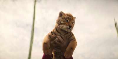Hey, kids, look how
cute this little guy is. - Joe vs Carole