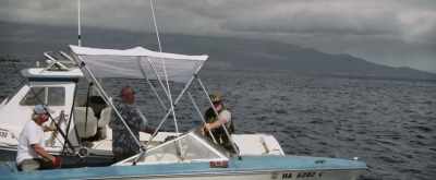 Hey, you know, I know you
like to fish the shallows, - Maneater