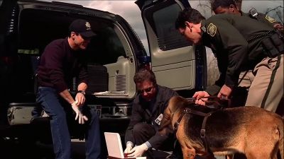            Hey, Lady. - CSI: Crime Scene Investigation