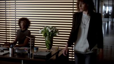 Hey, Lena. - Ray Donovan