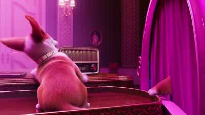 Hey, little boy, don't complain. - The Queen's Corgi