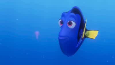 - Hey, little guy. - Finding Nemo
