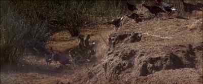 Hey, look at that! - Pat Garrett & Billy the Kid