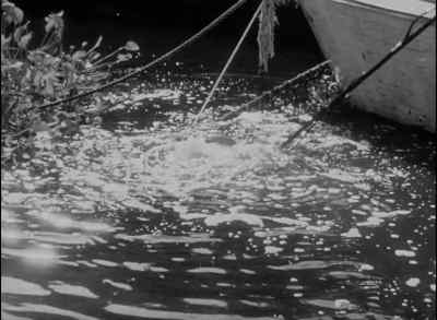 Hey, look! He's coming up! - Revenge of the Creature