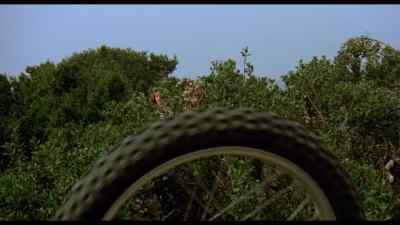 Hey, look. It's a funky little tomato. - Attack of the Killer Tomatoes!
