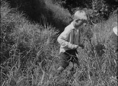 Hey, look! - Lord of the Flies