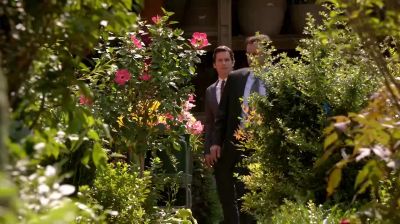 Hey, look, viceroy tulips. - White Collar