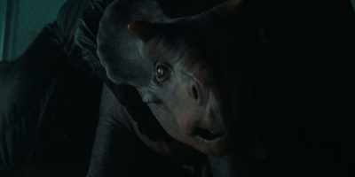 - Hey.
- [Lowing] - Jurassic World: Dominion