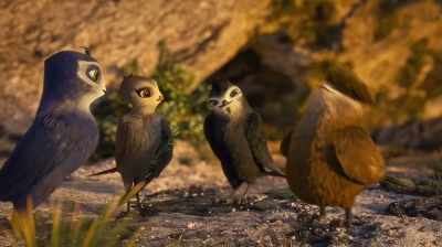 Hey, man! You sure
beat those gulls! - Manou the Swift