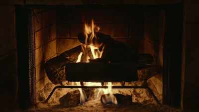 Hey, Marla.
My cleaning service flaked, - Adult Swim Yule Log 2: Branchin' Out