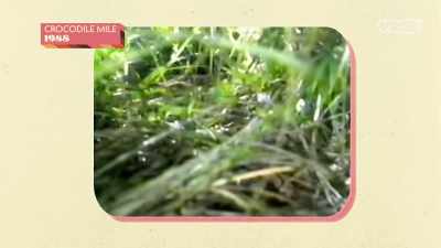 - Hey, mate, what do you do
when you see a crocodile? - Super Maximum Retro Show