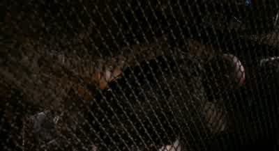 Hey, maybe they'll give you a pardon, man. - 12 Monkeys
