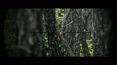 Hey, Mikey... - Lone Survivor
