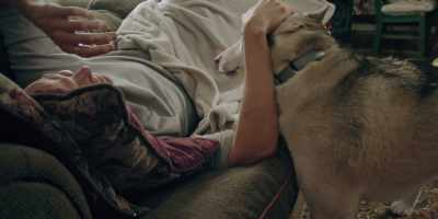Hey, Mom, it's Matt. Um, - The Year of the Dog