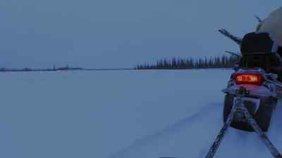 HEY, MOOSE. - The Last Alaskans