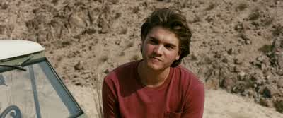 Hey, Mr. - Into the Wild