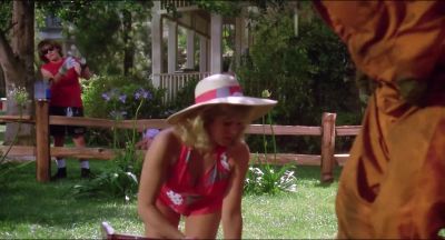 Hey Mrs Rumsfield - The 'Burbs