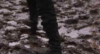 - Hey, Ned!
- Over here! Come on! - White Fang