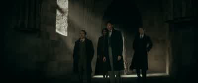 Hey, Newt. - Fantastic Beasts: The Secrets of Dumbledore