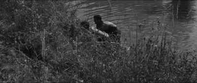 Hey, not here.
Not here. - The Young Lions