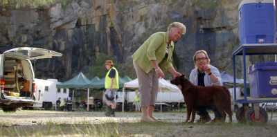 Hey, now, while we just get
this shot finished up... - Koko: A Red Dog Story