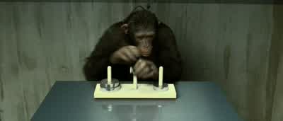Hey, okay... - Rise of the Planet of the Apes
