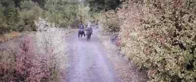 Hey, we only slowed them down. - Outlaw Posse