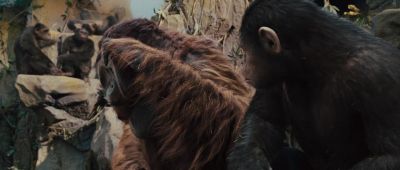 Hey over here - Rise of the Planet of the Apes