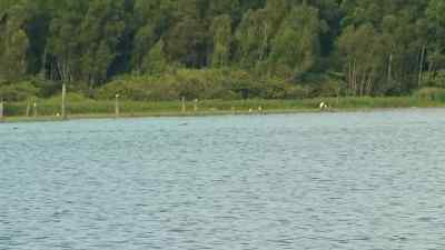 Hey, p, we got one on that line. - Swamp People