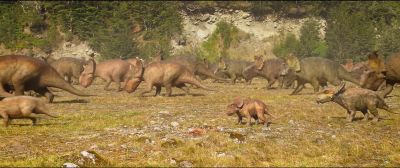 Hey, Pachito! You feel like maybe
getting some exercise today? - Walking with Dinosaurs