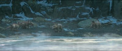 Hey, Patchi! - Walking with Dinosaurs