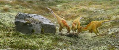 Hey! Pick on
someone your own size! - Walking with Dinosaurs