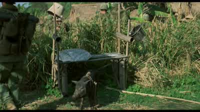 Hey piggy piggy Hey pig - Platoon