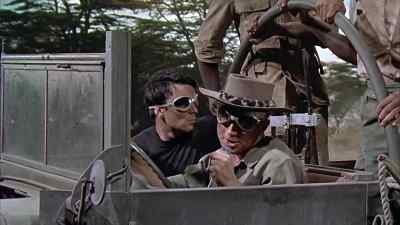 Hey Pockets, tell Sean
he's looking the wrong way. - Hatari!